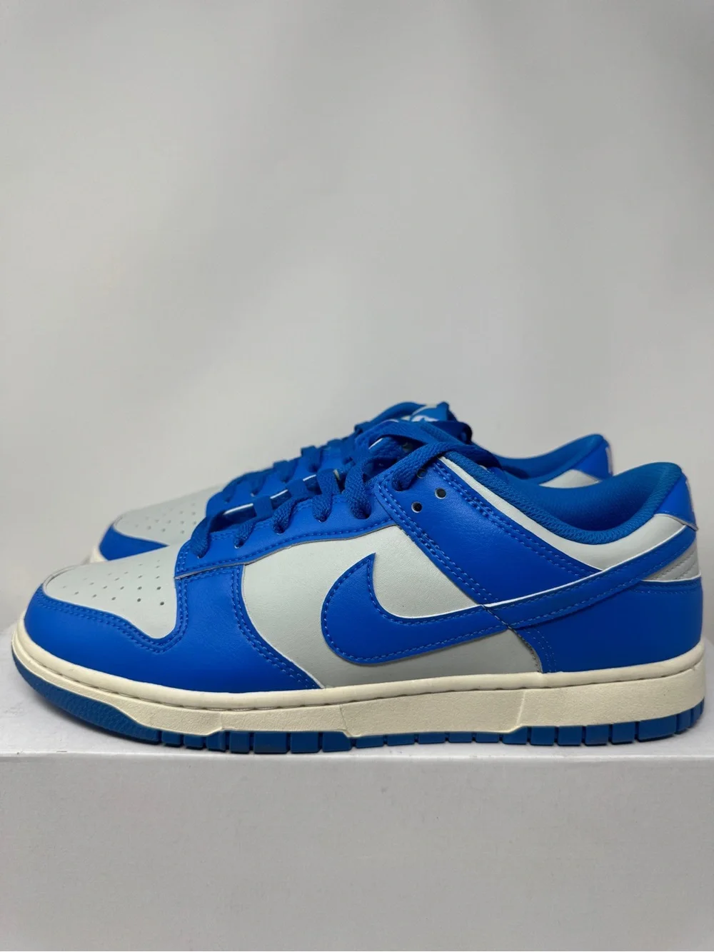 Mens Nike Dunks